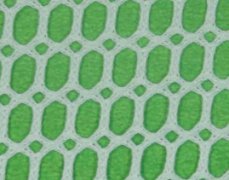 全涤低弹贸网 方格网 服装用布 产业用布